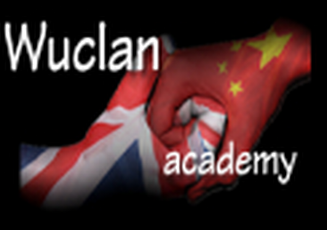Cursos Wuclan Academy